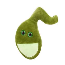 GIANT MICROBES GIANTmicrobes Gallbladder Plush, Gallbladder Stuffed Animal, Gallbladder Surgery Gifts, Gallbladder Plush Toy, Gallbladder Removal Gift, Gastroenterology Gifts, Gastroenterologist Gifts, Get Well Gift