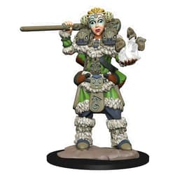 WizKids FanHeads Wizkids Wardlings Rpg Figures, Girl Druid and Stone Creature