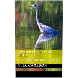 N. G. Carlson,Betsy Salvatore,Tammy Erwin Wildlife in a Wild Year: My 2020 Nature Journey (Wildlife photographs Book 2)