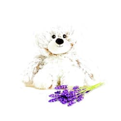 Warmies Intelex CPJ-BEA-5 Bear Warmies Junior, 9-inch Length