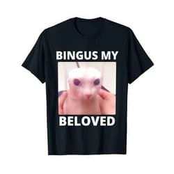 Bingus Is Calling My Beloved Hairless Sphinx Cat Bald Bingus My Beloved Hairless Sphinx Cat Bingus Cat Meme T-Shirt