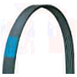 Dayco POLY RIB BELT Dayco®