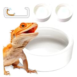 HELIME Reptile Food Dish Bowl, Worm Water Dish Small (2.75in) Lizard Gecko Ceramic Pet Bowl, Mealworms Bowls for Leopard Bearded Dragon Chameleon Hermit Crab Dubia Cricket Anti-Escape Superworm Feeder 2 Pack