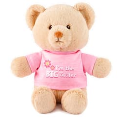 GUND “I'm the Big Sister” Sustainable Message Bear with Pink T-Shirt, Teddy Bear Made from 100% Recycled Materials for Ages 1 and Up, Tan, 12”