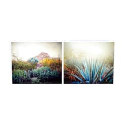 Audra Edgington Fine Art Set of 2 Cactus Pictures Desert Wall Art Southwestern Home Decor Nature Photos 5x7 Inch Prints