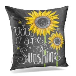 Emvency Decorative Throw Pillow Cover 18x18 Inches You are My Sunshine Sunflowers Chalk Painting Cotton Decorative Pillowcases with Hidden Zipper Decor Cushion Covers