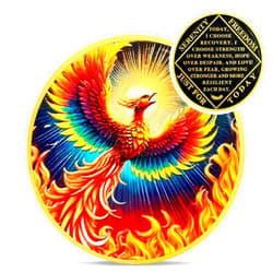 IELCJJ Colorful Sunlight Phoenix Na Medallions - Reborn from Fire Sobriety Coin - Recovery Addiction NA AA Chips and Medallions - Celebrate Living Clean Affirmation Narcotics Anonymous Gifts for Men Women