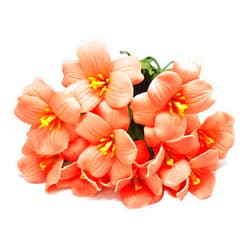 ALIERSA 10pcs Artificial Tulips Flowers for Wedding, Party, Home Decoration (Light Orange)