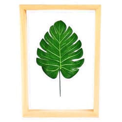 JUSTDOLIFE Pressed Flower Frame 5x7 Photo Frame Double Glass Frame For Pressed Flowers Display Frame Wood Vintage Floating Picture Frames (Burlywood - M)