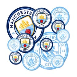 Desert Cactus Manchester City Stickers Man City MCFC Sheet Vinyl Football Soccer Premier League Decal Laptop Water Bottle Car Scrapbook Sheet (Type 1.4)