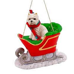Conversation Concepts West Highland Terrier Sleigh Ride Christmas Ornament - Delightful! - Made with Vinyl & Resin, Gold