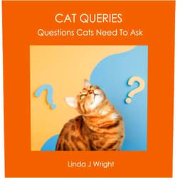 Linda J Wright CAT QUERIES: Questions Cats Need To Ask