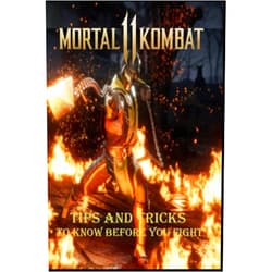 Cecilie Smed MORTAL KOMBAT 11 Complete guide:Tips and Tricks to know before you fight