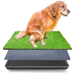 LOMANTOWN Reusable Dog Grass Tray with Replacement Grass Mat