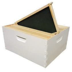 Busy Bees 'N' More Amish Made in USA Painted and Assembled Langstroth 10 Frame Deep/Brood Box w/Frames and Foundations