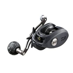 Daiwa Fishing Reel Lexa Type-Wn Reel 6Bb (2Crbb 4Bb)