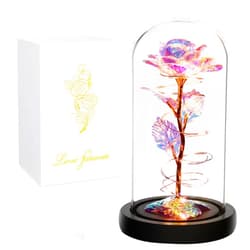 Childom Birthday Gifts For Women,Rose Flower Gifts for Mom,Womens Gifts for Christmas,Colorful Rainbow Flower Rose Light Up Rose in A Glass Dome,Xmas Gifts For Her,Anniversary,Valentines,Wedding Gifts