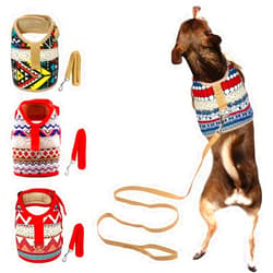 Muttitude Dog Harness & Leash Set for Small Breeds (Medium, Goa)