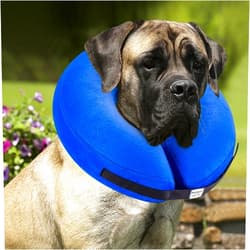 BENCMATE Protective Inflatable Collar for Dogs and Cats - Soft Pet Recovery Collar Does Not Block Vision E-Collar (X-Large, Blue)