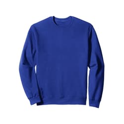 BizzyflyUSA Evolution of Disc Golf Retro Vintage Park Player Sweatshirt