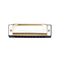 SUOFEILAIMU-PHONE CASE SUOFEILAIMU 10 Holes Harmonica Diatonic Blues Harp Mouth Organ Key of C Reed Musical Instrument for Beginner (Color : Golden)