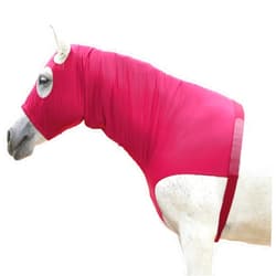 LEAFOREST Stretch Horse Hood with Zip Full Face Lightweight Neck Cover