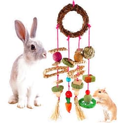 YIXUND Bunny Chew Toys, Rabbit Toys for Teeth Grass Timothy Cake and Treat for Guinea Pigs Hamster Chinchillas Rats and Other Rodent Toy Set