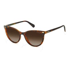 Polaroid Women's PLD 4107/S Cat Eye Sunglasses