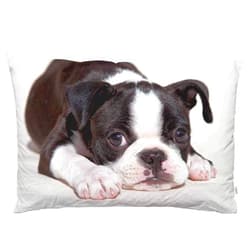 EKOBLA Throw Pillow Cover Boston Terrier Dog Dog Lovely Animal Art Cute Funny Pet Puppy Portrait Style Decor Lumbar Pillow Case Cushion for Sofa Couch Bed Standard Queen Size 20x30 Inch