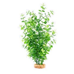 Fluval Aqualife Green Bacopa Plant, Plastic Aquarium Plant Decoration 14 in