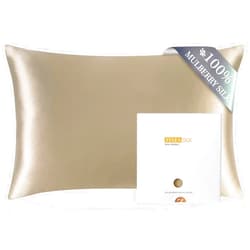 ZIMASILK 100% Pure Mulberry Silk Pillowcase for Hair and Skin Health,Soft and Smooth,Both Sides Premium Grade 6A Silk,600 Thread Count,with Hidden Zipper,1pc (Queen 20''x30'',Taupe)