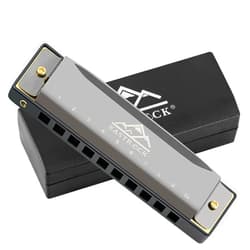 EastRock Blues Harmonica Mouth Organ 10 Hole G Key with Case, Diatonic Harmonica for Professional Player, Beginner, Students gifts, Adult, Friends, Gift Black
