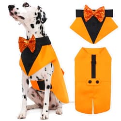 Kuoser Dog Tuxedo Dog Suit and Bandana Set, Pumpkin Color Dog Thanksgiving Outfit Adjustable Dog Halloween Costume with Bow Tie for Large Medium Small Dogs Golden Retriever Samo Bulldogs, XL