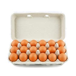 bark and lindy Paper Pulp Egg Cartons for 18 Eggs or Use for Crafting, Parts Storage, Easter (15)