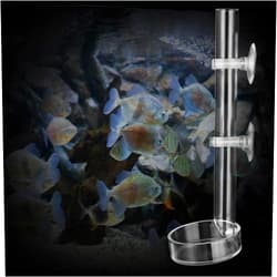 Styquenzer Shrimp Feeding Tube and Dish Set, Acrylic Fish Shrimp Feeder, Aquarium Feeding Tube for Fish Tank Aquarium Shrimp(20cm)