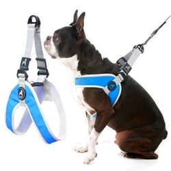 Gooby Simple Step in III Harness - Blue, Large - Small Dog Harness with Scratch Resistant Outer Vest - Soft Inner Mesh Harness for Small, Medium Dogs