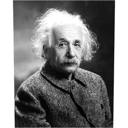 The McMahan Photo Archive Albert Einstein Portrait 1947 8x10 Silver Halide Photo Print