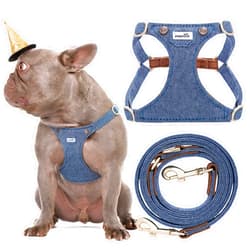 Puppytie No Pull Dog Harness with Multifunction Dog Leash,Soft Adjustable No Choke Escape Proof Pet Harness Vest for Medium Dogs,Denim Light Blue,M