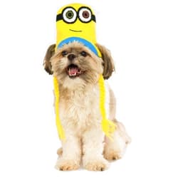 Rubies Minion Bob Knit Dog Headpiece, Medium/Large