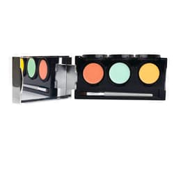 Dermaflage Color Correcting Palette, Color Corrector Concealer for Dark Circles, Redness, Bruises, Dark Spots, by Dermaflage 6.9g/.24oz