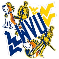 Desert Cactus West Virginia University Stickers WVU Mountaineers Stickers Vinyl Decals Laptop Water Bottle Car T2 (Type 2-2)