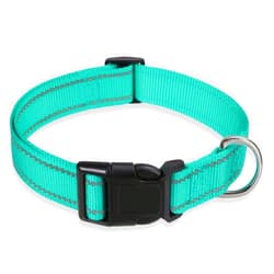 BOOMIBOO Reflective Dog Collar with Buckle Adjustable Safety Nylon Collars for Small Medium Large Dogs, Green S