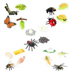 RCOMG 20 PCS Life Cycle Figurines of Butterfly Spider Bee Ladybug Dragonfly, Plastic Insect Bug Figures Toy Kit, Early Education Growth Stage Model Biology Science Toys School Project for Kids Toddlers