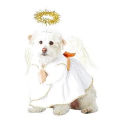 California Costumes Heavenly Hound Pet Costume Large