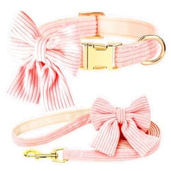Didog Dog Collar and Leash Set with Bowtie, Girl Dog Collars Metal Buckle Adjustable for Small Medium Dogs(Pink, M)