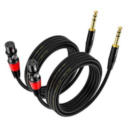 EBXYA XLR Female to 1/4 Inch TRS - Balanced XLR Microphone Cable to 6.35mm Jack Lead, 10ft 2 Pack