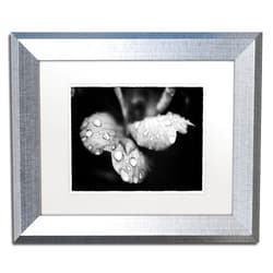 Trademark Fine Art MFG0042-S1114MF Raindrops on Wild Rose by PIPA Fine Art, White Matte, Silver Frame 11x14-Inch, 11x14