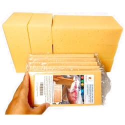 QUALIALL Car Wash Sponges, 5 Pack, Extra Soft Coral, Scratch Free, 8.3x4.38x2.8 inches, Great for Sensitive Surfaces