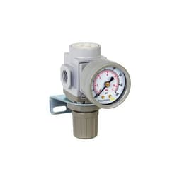PneumaticPlus SAR200-N02BG Miniature Compressed Air Pressure Regulator 1/4