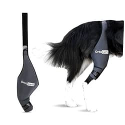 Ortocanis - Dog Knee Brace - For Right Hind Leg - Made of ARD Neoprene - For ACL Tear, Ligament Injuries, Patellar Luxation or Osteoarthritis - Size Large (12,3 - 14,2 